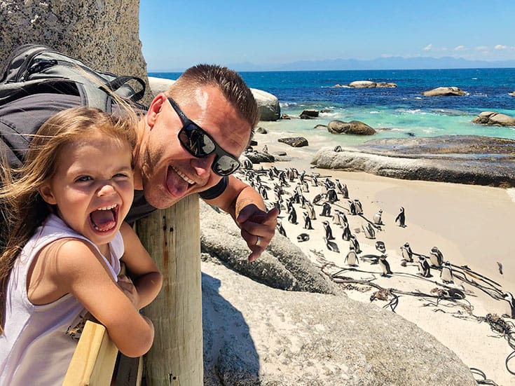 Boulders Beach Penguin Colony Cape Town