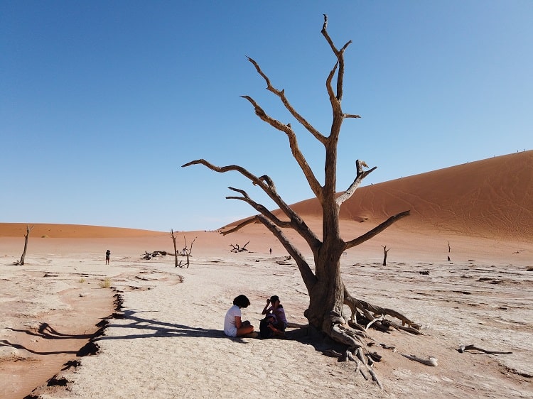 Deadvlei Soussusvlei, Namibia, kids sitting in the shade of the dead tree, sand dunes in the background